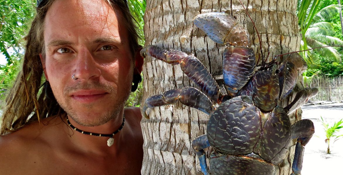 togian_coconut_crab togian_coconut_crab