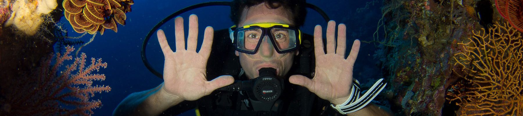 Waleakodi-UNDERWATER-1