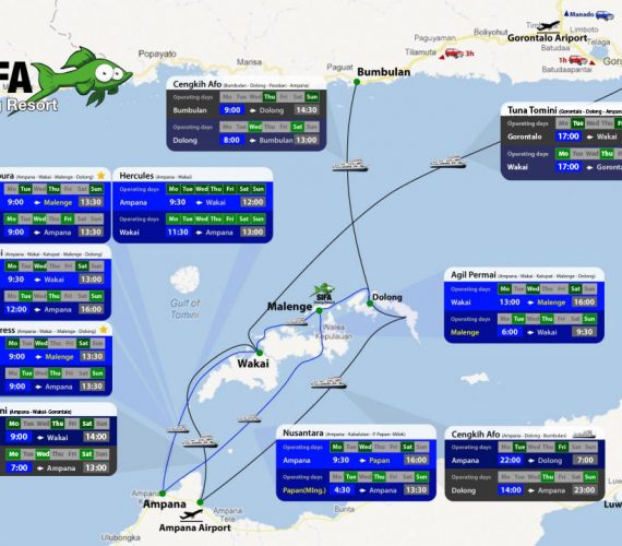 New Tuna Tomini schedule